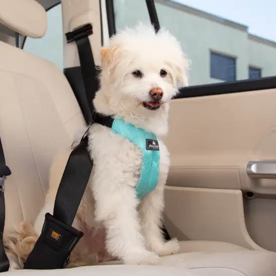 Arnés de seguridad para coche para perros
