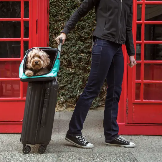 Transportín para perros