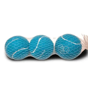 Pelota de Tenis Foundation Azul