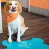 Alfombrilla en forma de hueso