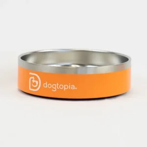 Bowl para perros naranja